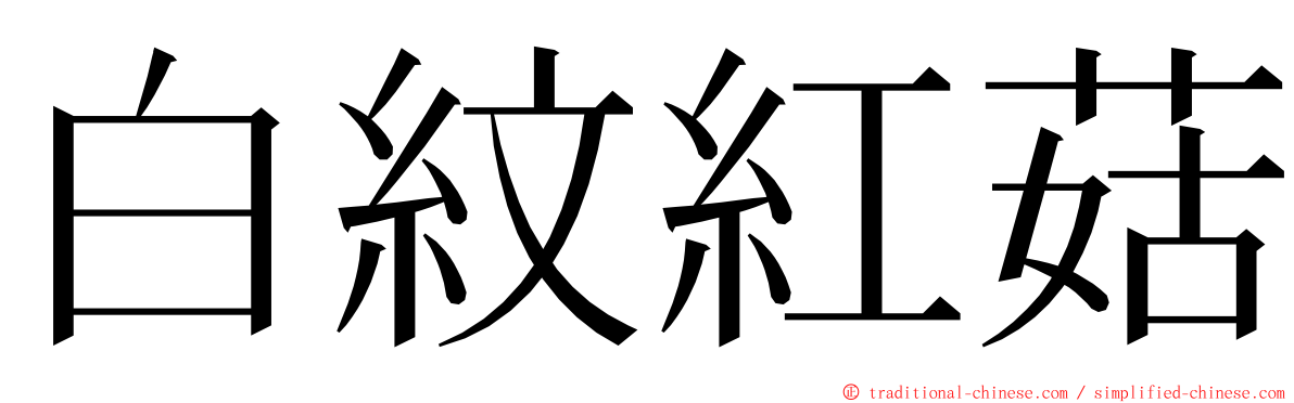 白紋紅菇 ming font