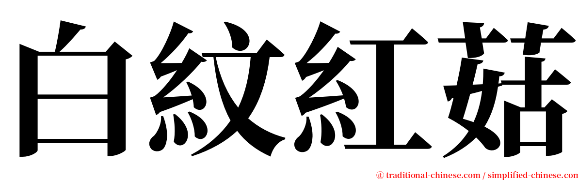 白紋紅菇 serif font