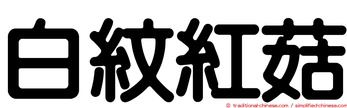 白紋紅菇