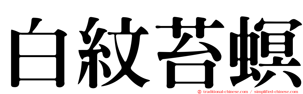 白紋苔螟