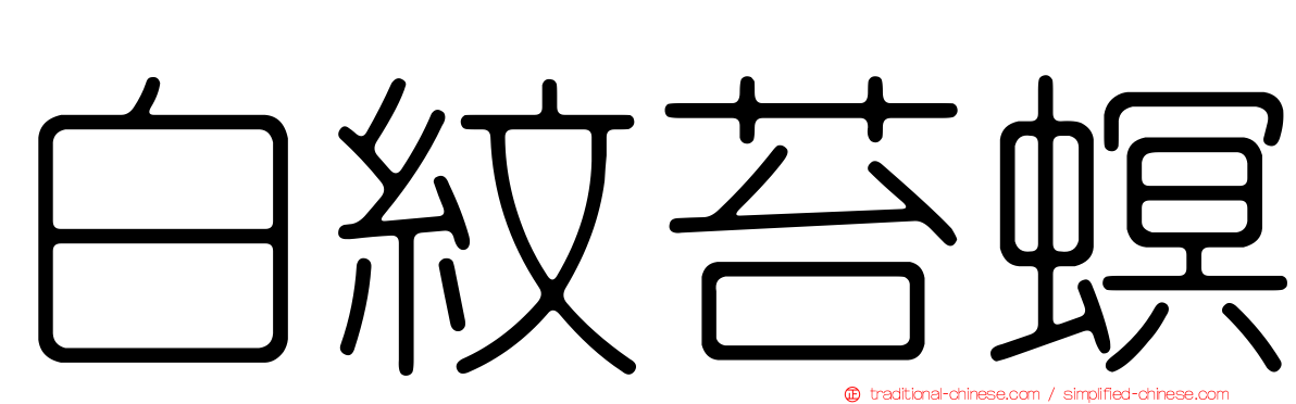 白紋苔螟