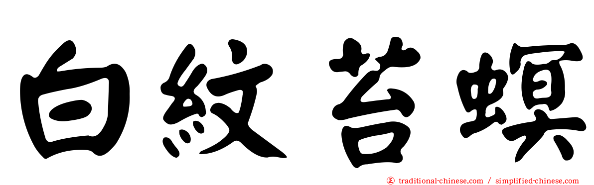 白紋苔螟