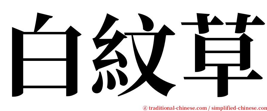白紋草 serif font