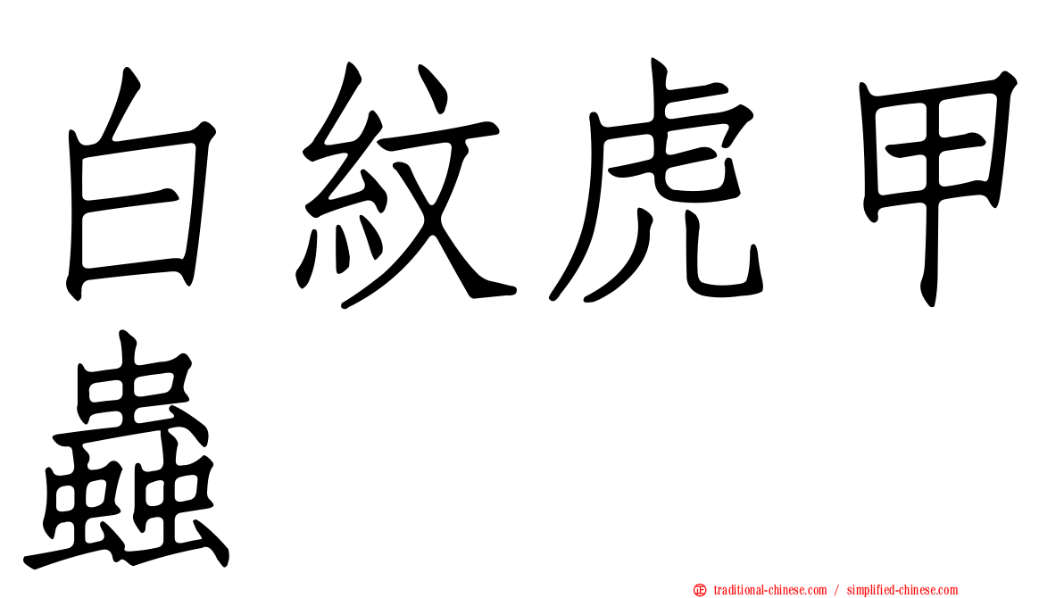白紋虎甲蟲