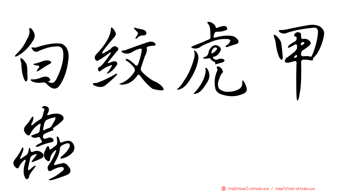 白紋虎甲蟲
