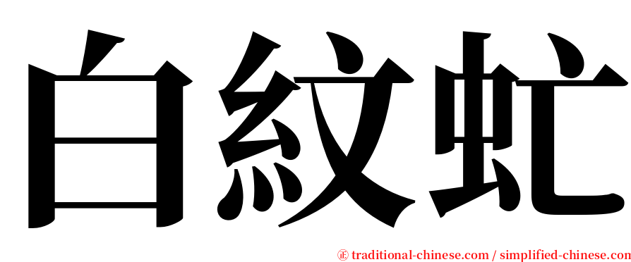 白紋虻 serif font