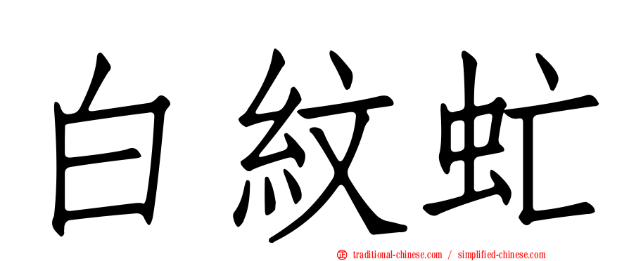 白紋虻
