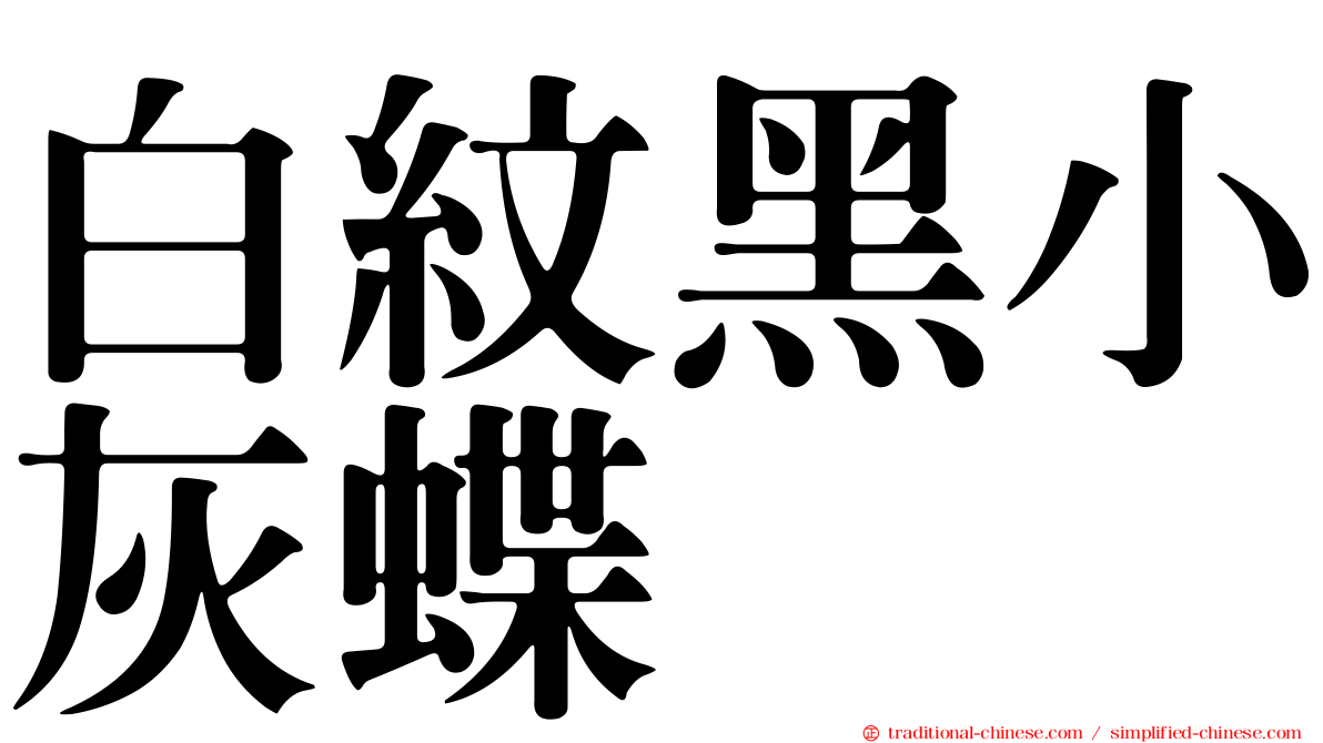 白紋黑小灰蝶