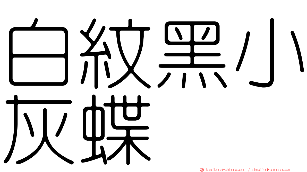 白紋黑小灰蝶
