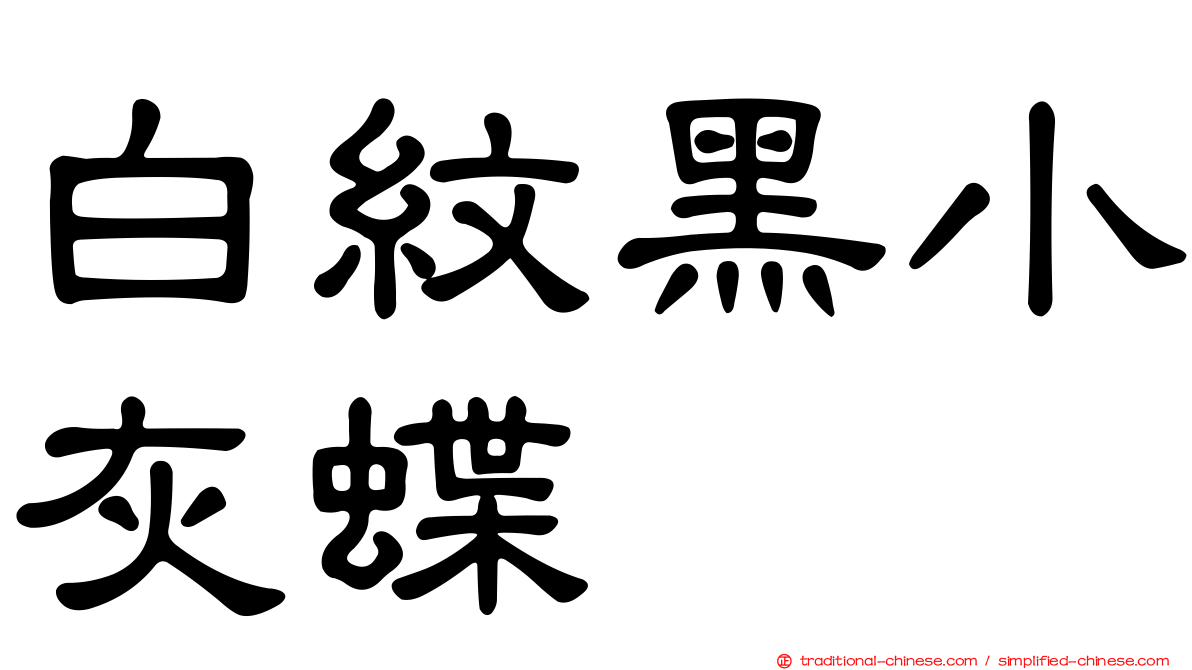 白紋黑小灰蝶
