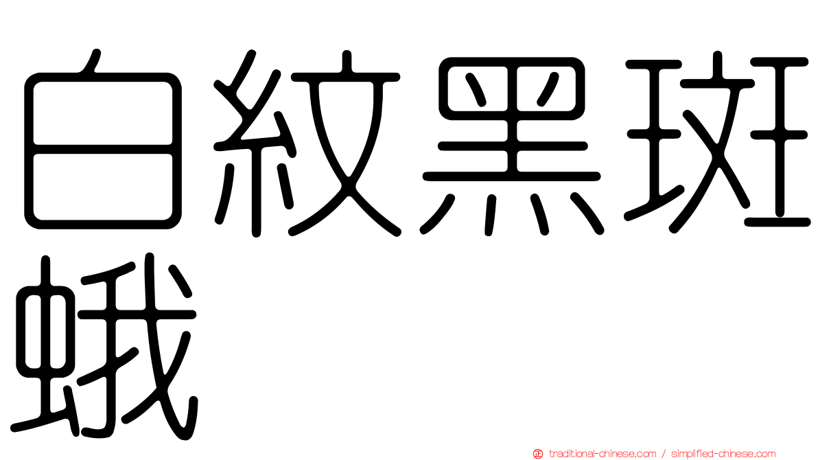 白紋黑斑蛾