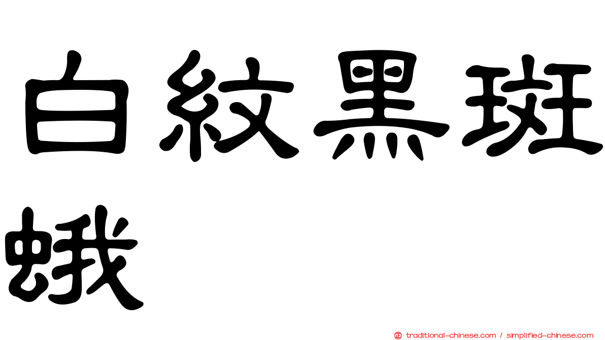 白紋黑斑蛾