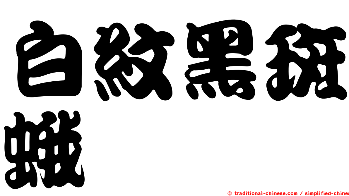 白紋黑斑蛾