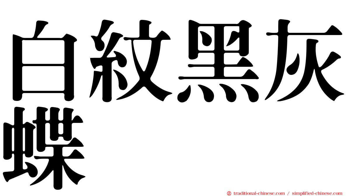 白紋黑灰蝶