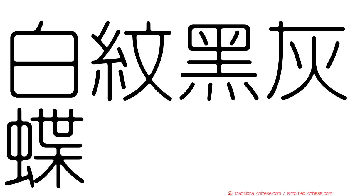 白紋黑灰蝶