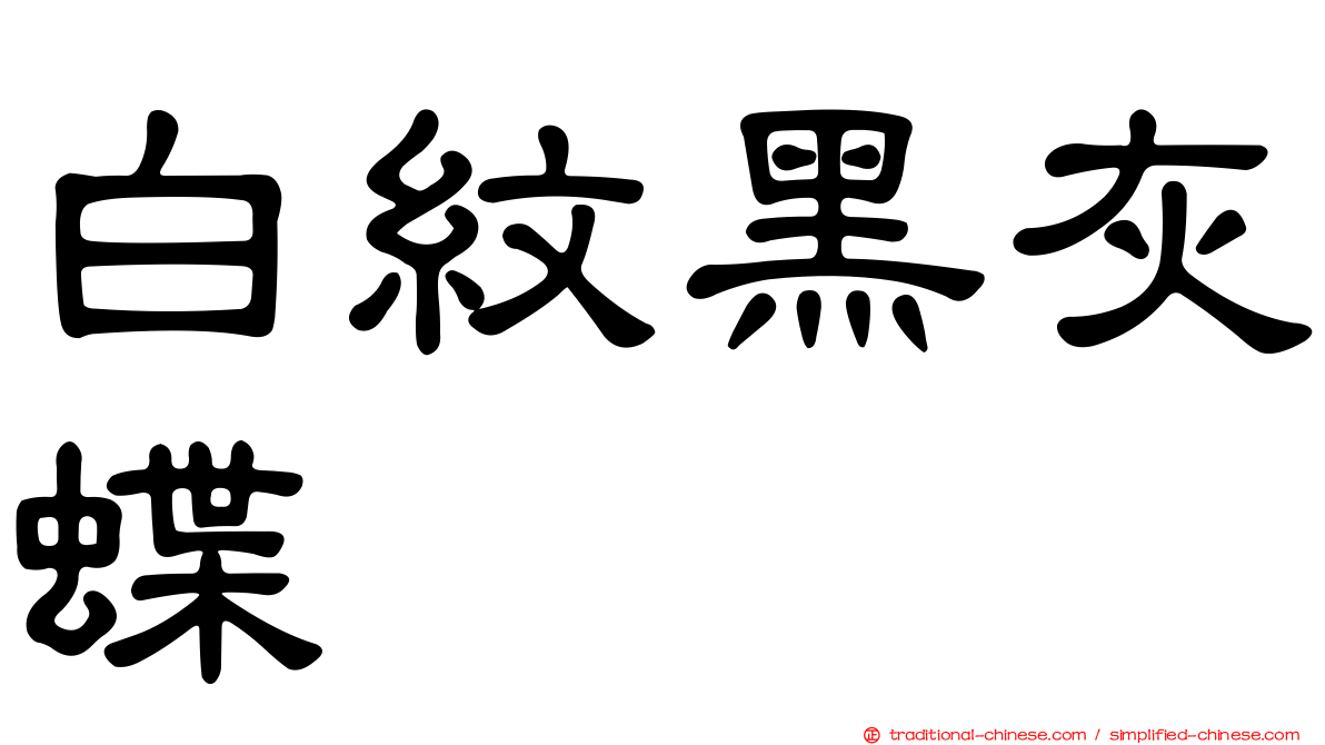 白紋黑灰蝶