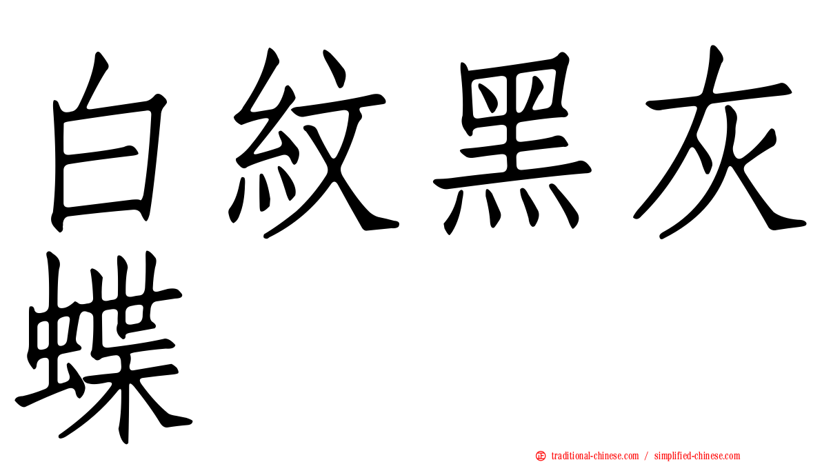 白紋黑灰蝶
