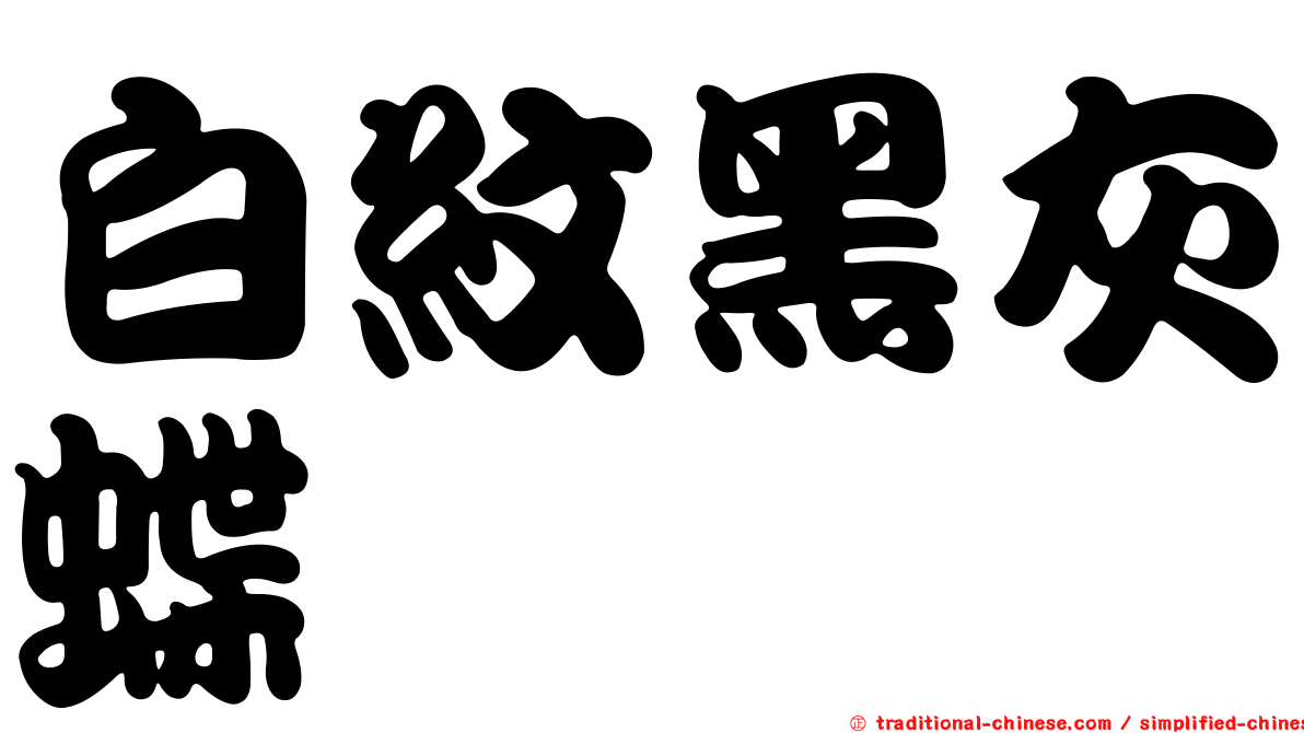 白紋黑灰蝶
