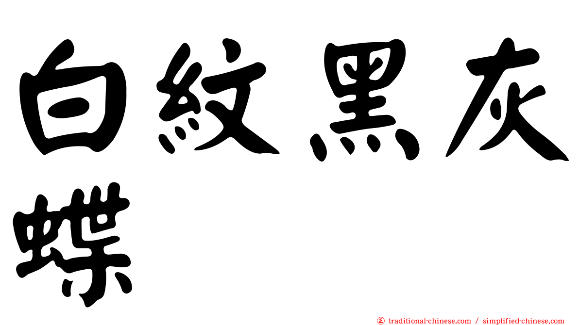 白紋黑灰蝶