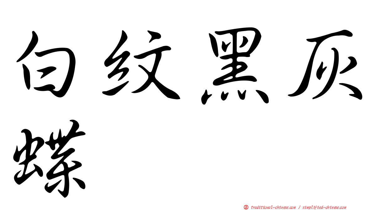白紋黑灰蝶