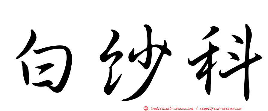 白紗科