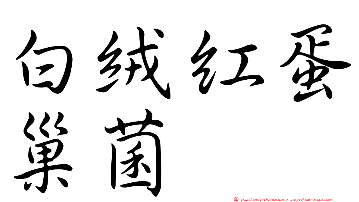 白絨紅蛋巢菌