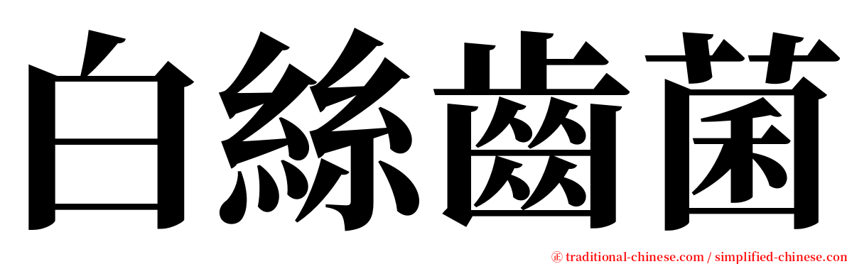 白絲齒菌 serif font