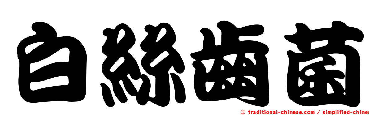 白絲齒菌