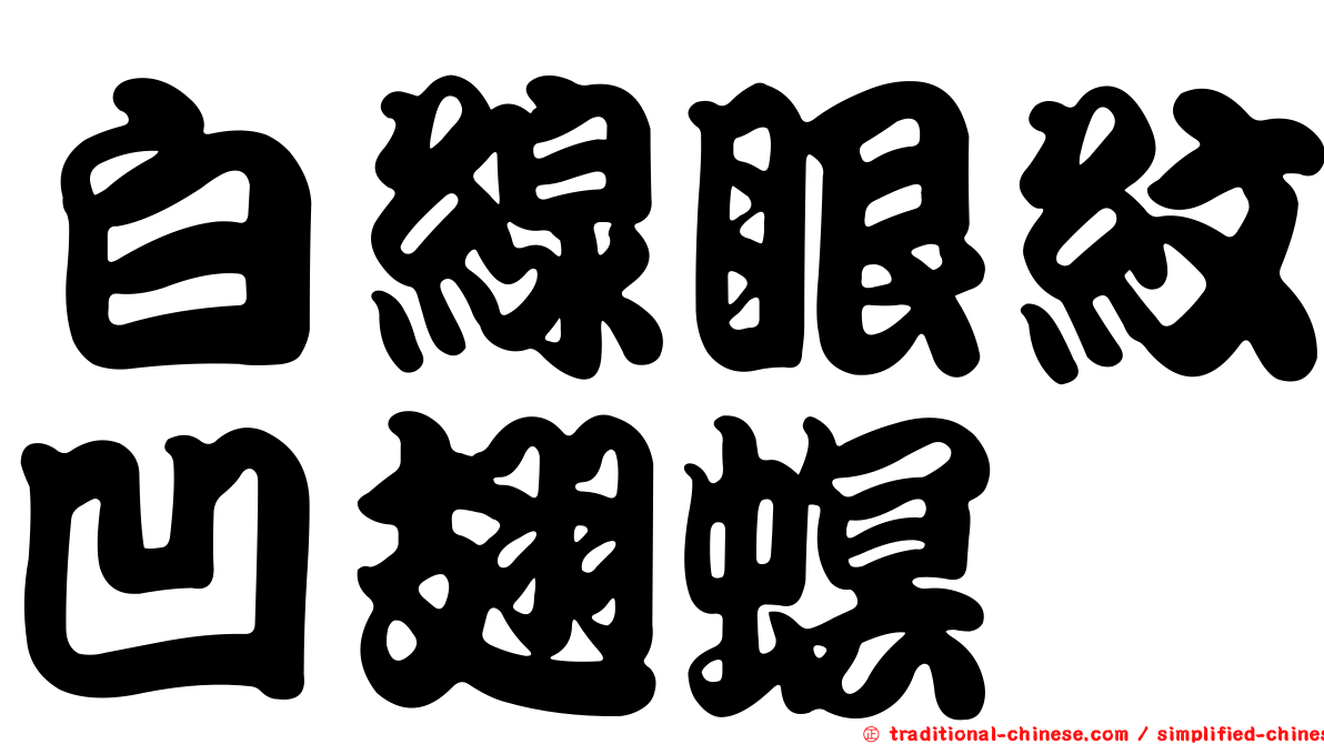 白線眼紋凹翅螟