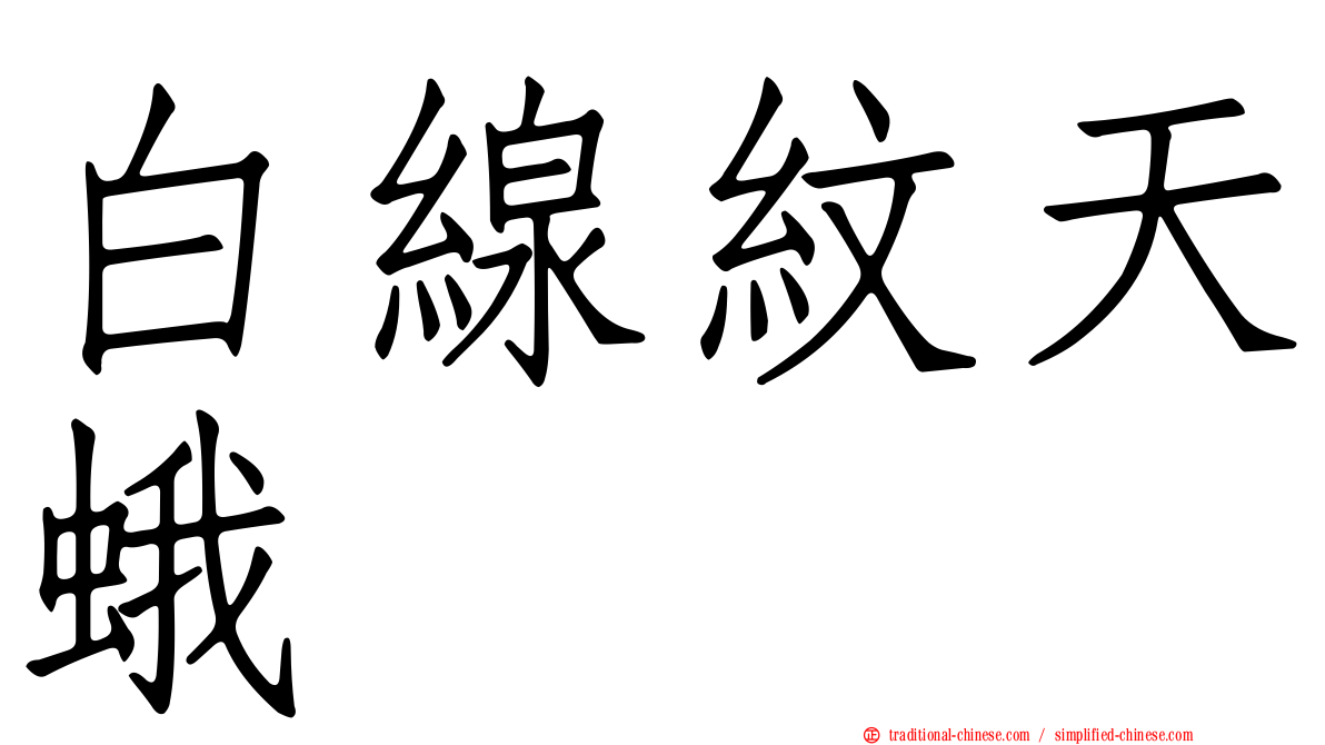 白線紋天蛾
