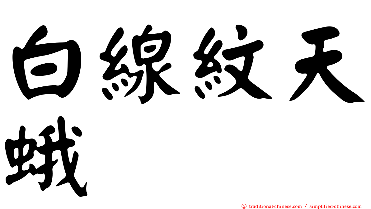 白線紋天蛾