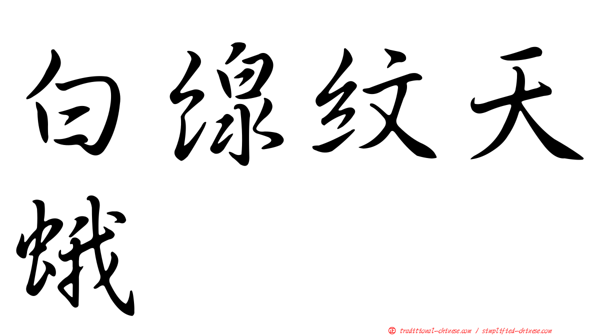 白線紋天蛾