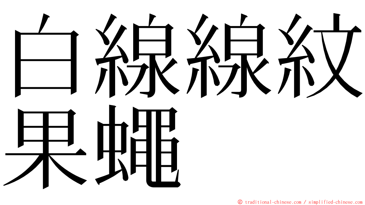 白線線紋果蠅 ming font