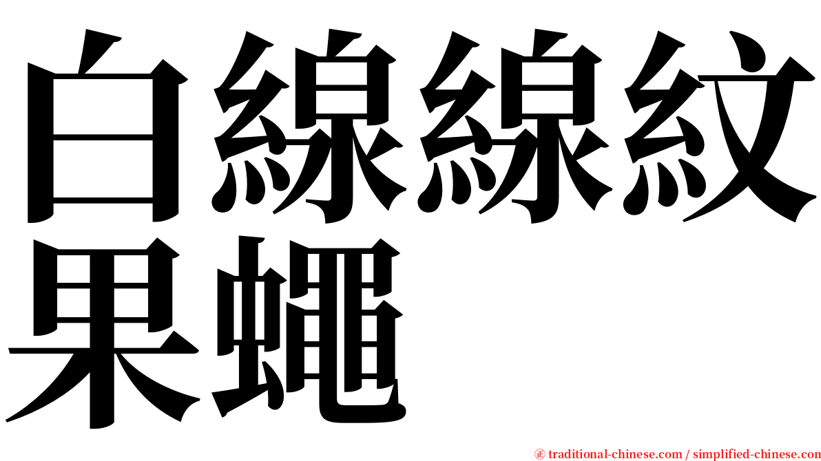 白線線紋果蠅 serif font