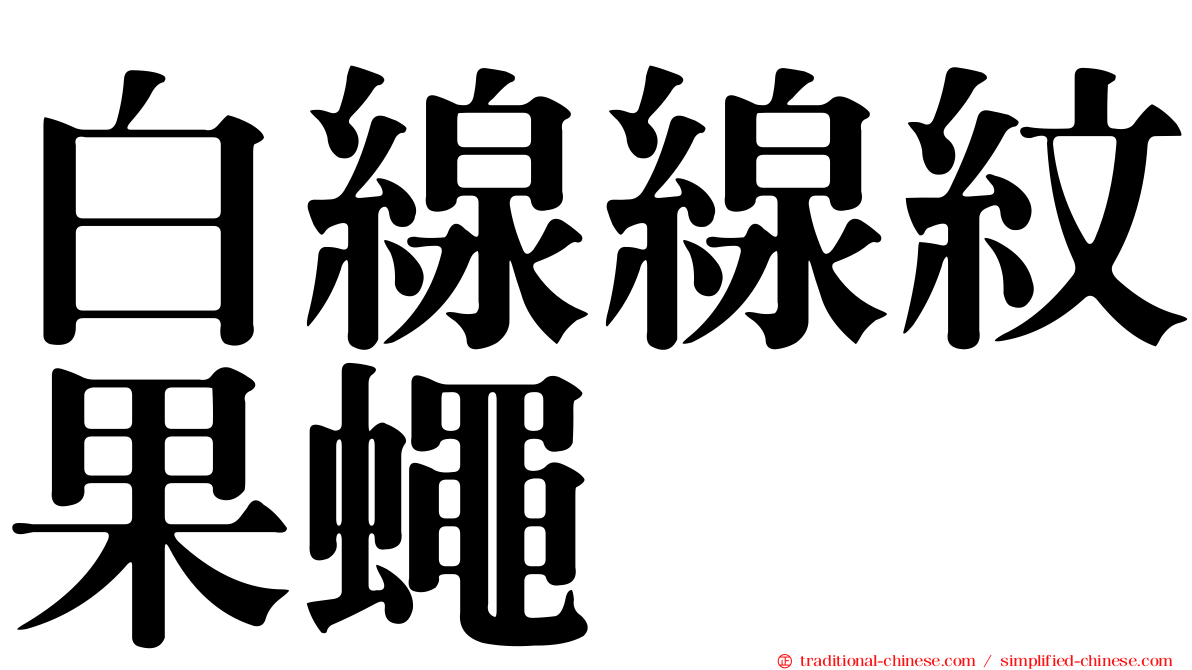 白線線紋果蠅