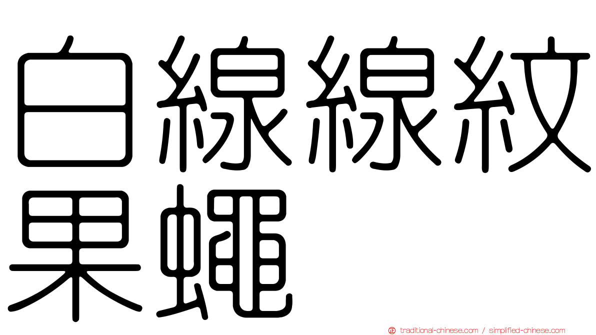 白線線紋果蠅