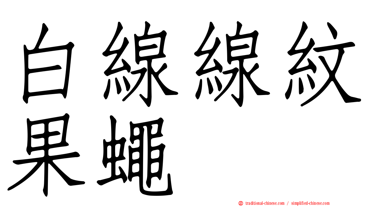 白線線紋果蠅