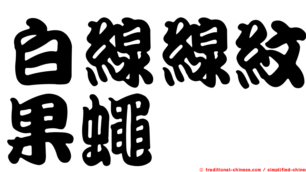 白線線紋果蠅