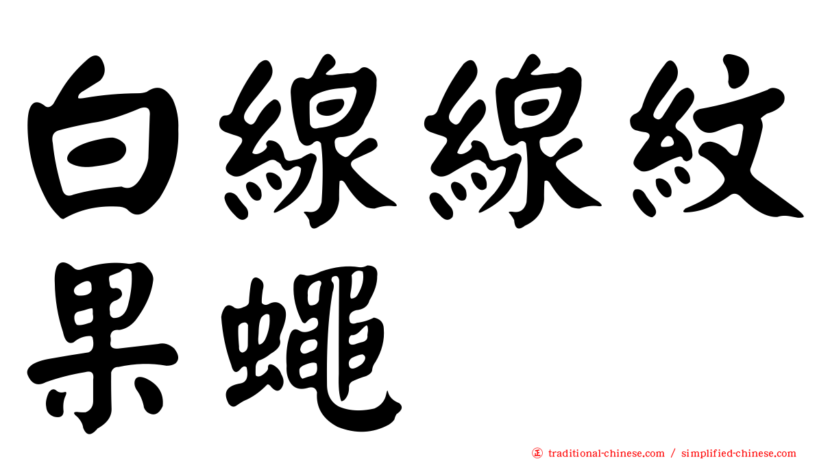 白線線紋果蠅