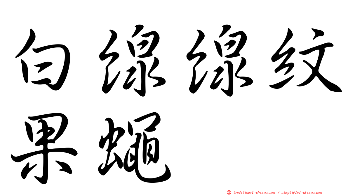 白線線紋果蠅