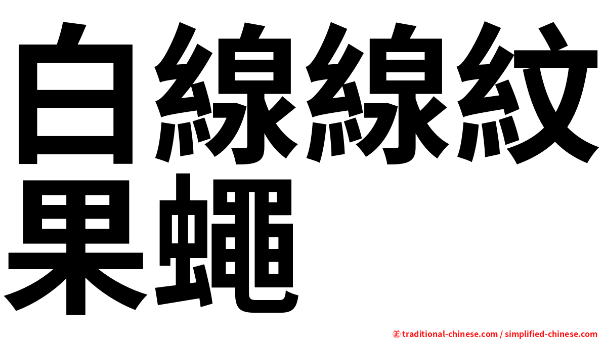 白線線紋果蠅