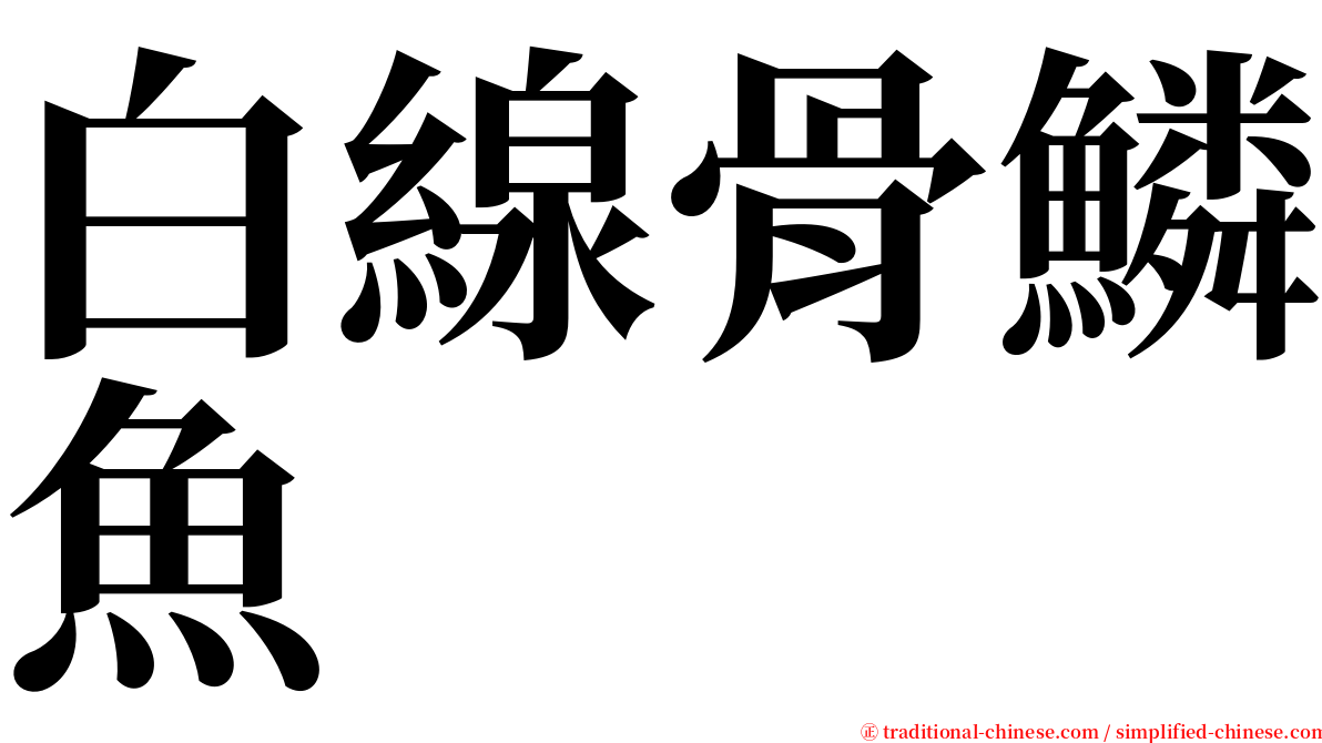 白線骨鱗魚 serif font