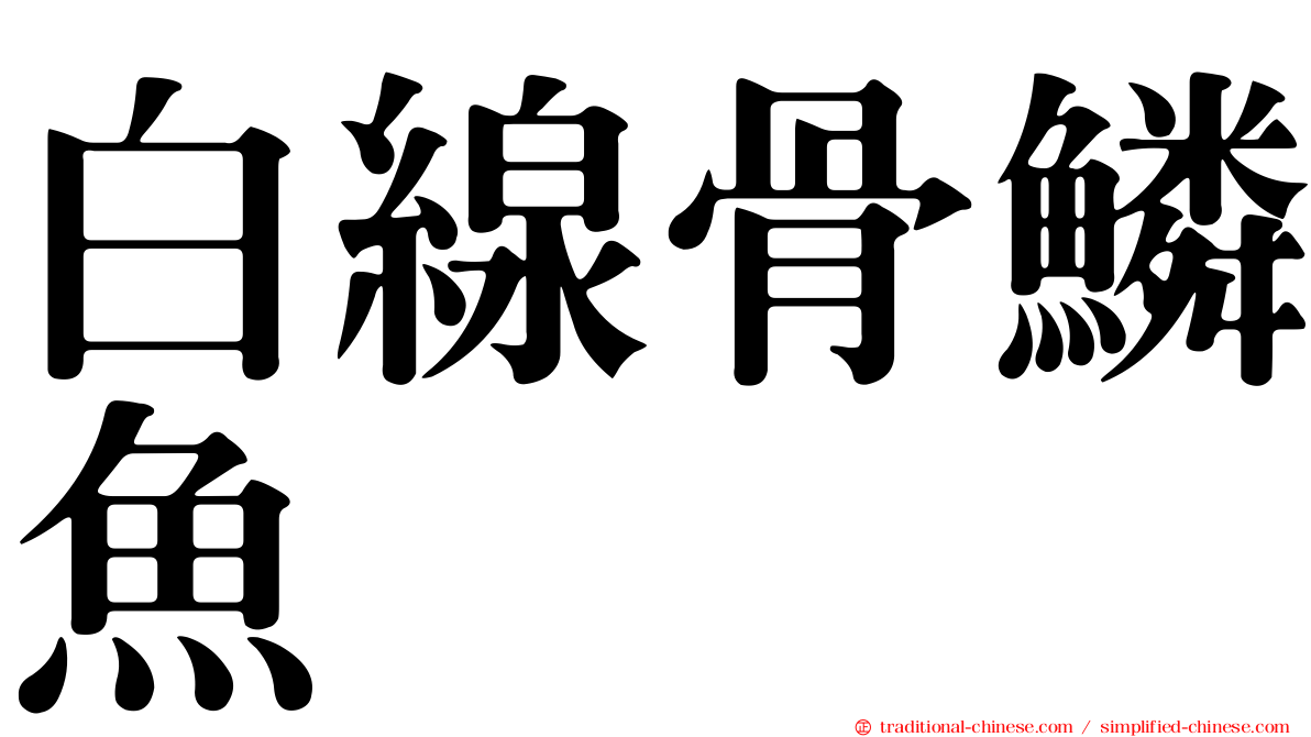 白線骨鱗魚