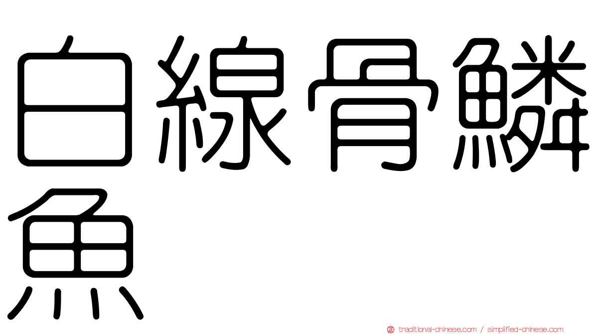 白線骨鱗魚