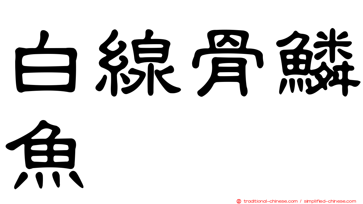 白線骨鱗魚