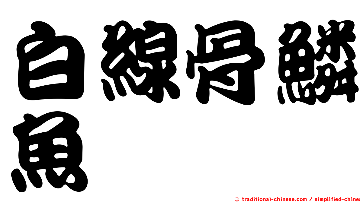 白線骨鱗魚