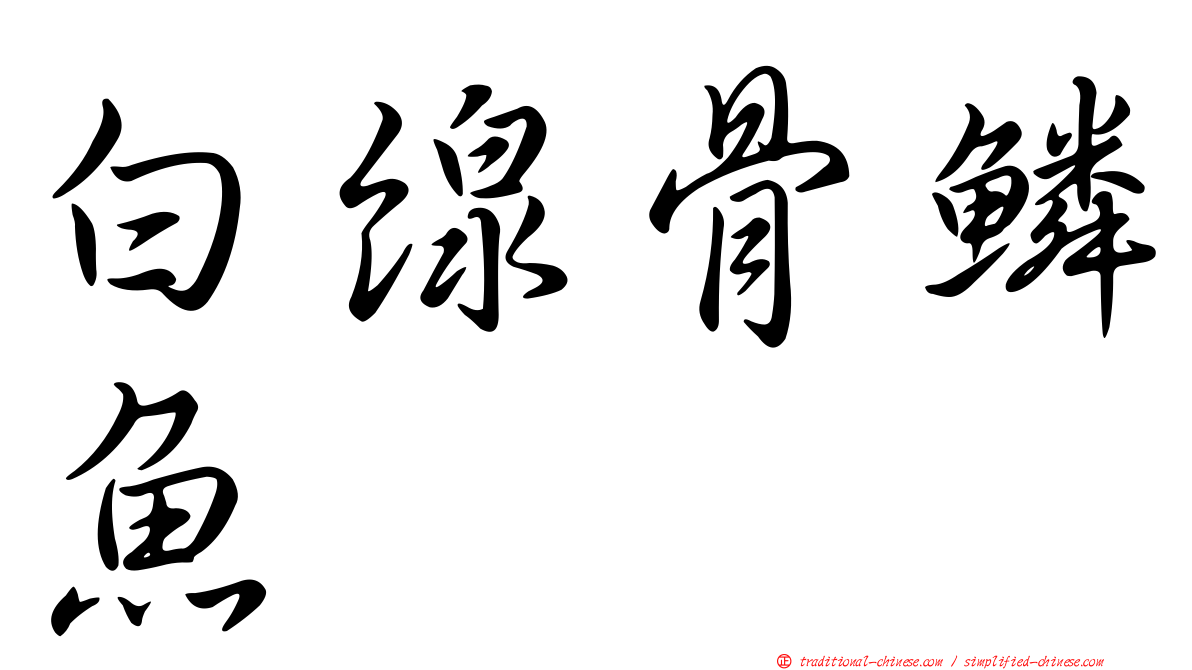 白線骨鱗魚