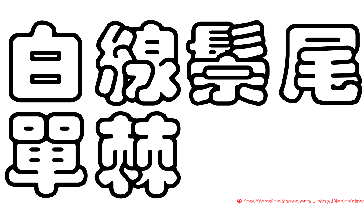 白線鬃尾單棘魨