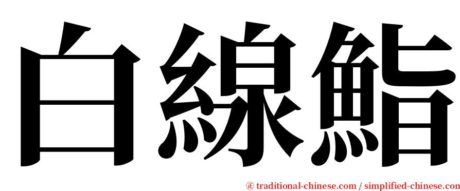 白線鮨 serif font