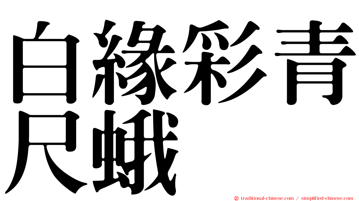 白緣彩青尺蛾